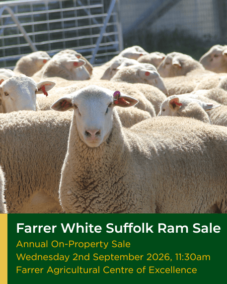Ram Sale 2026