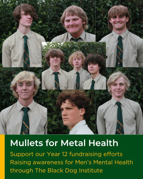 Mullets for Mental Health