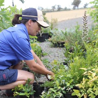 Horticultural Assistant