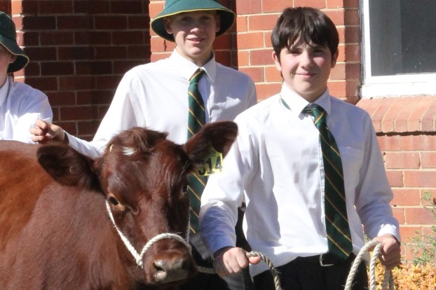 Agricultural Studies