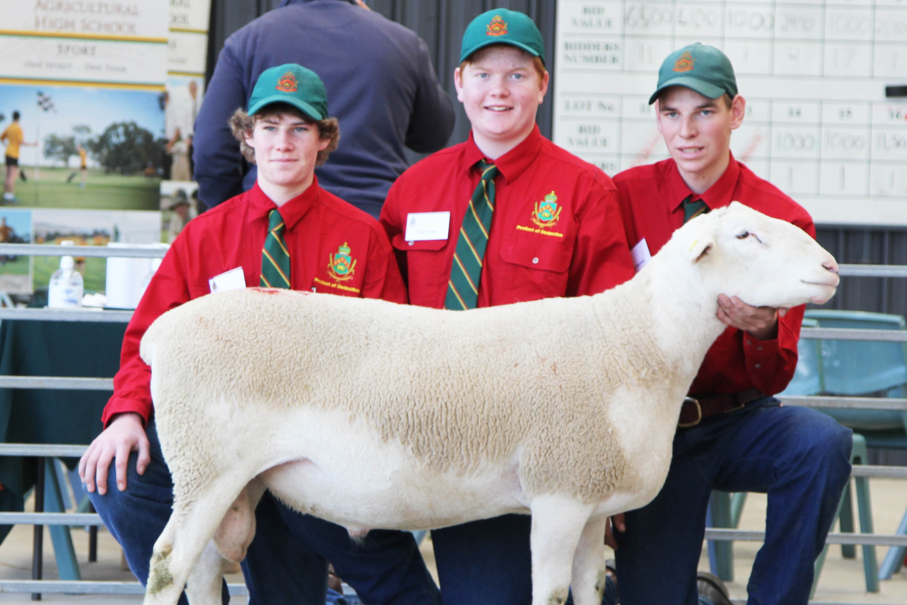Ram Sale