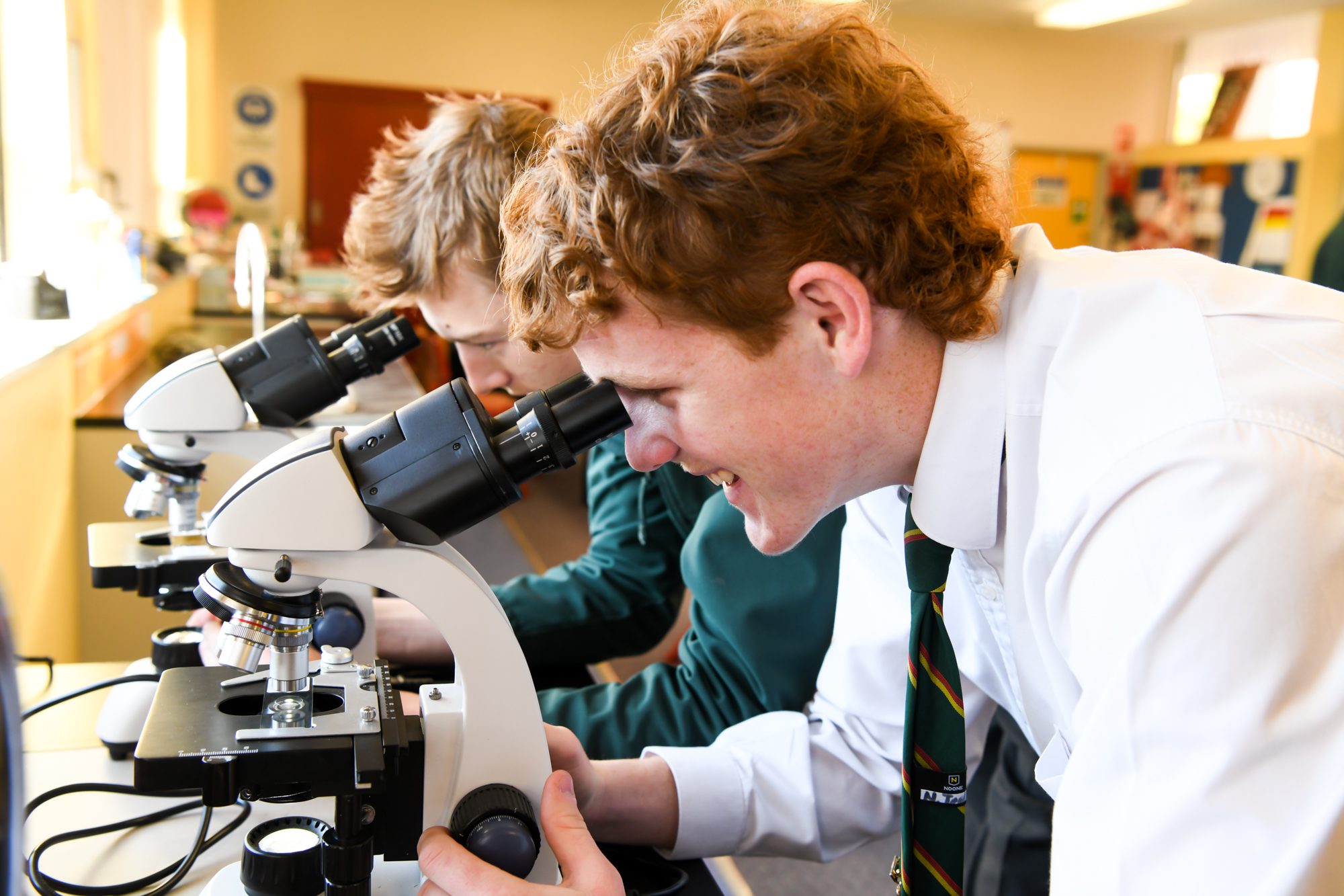 Microscope