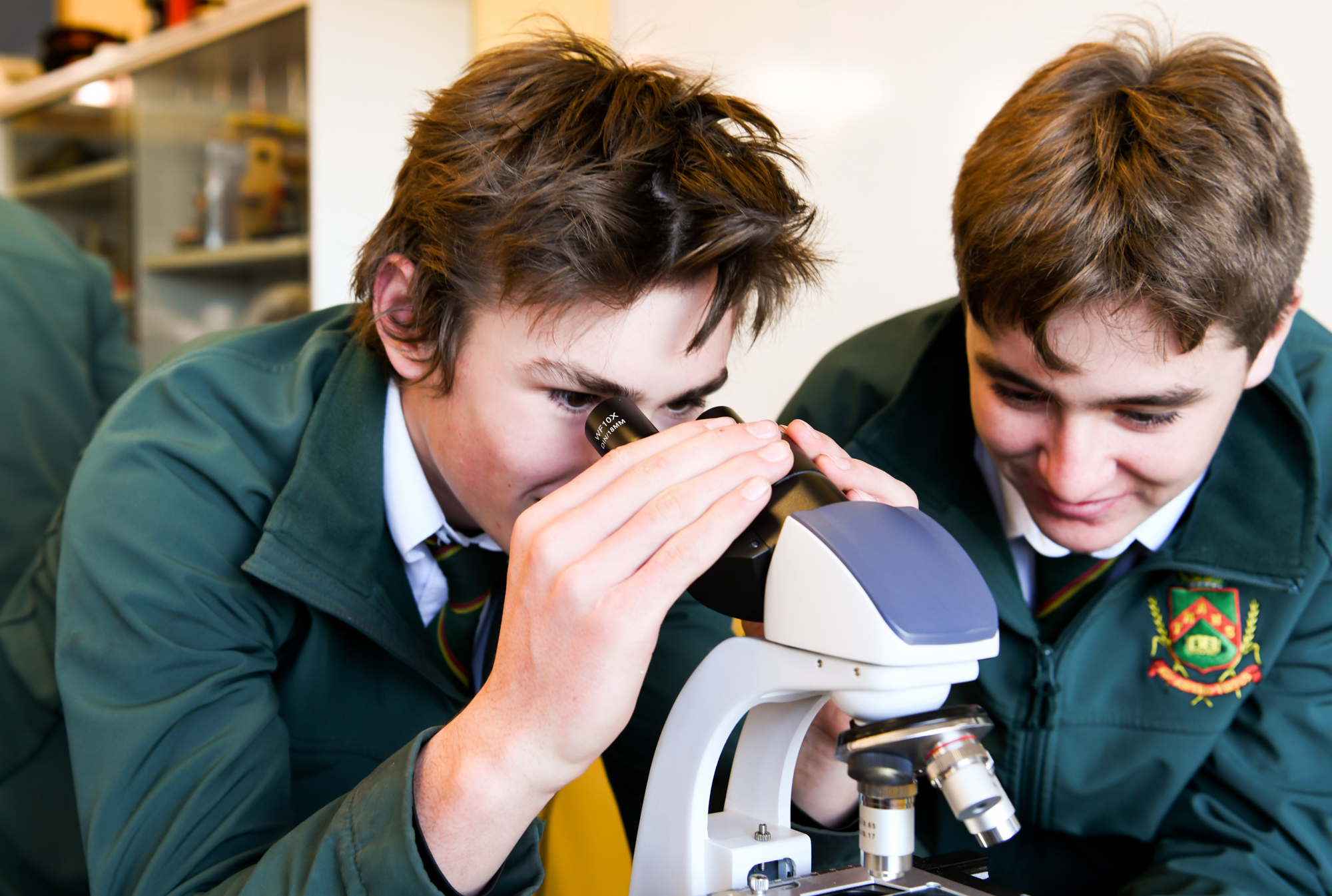 Students looking down microscope