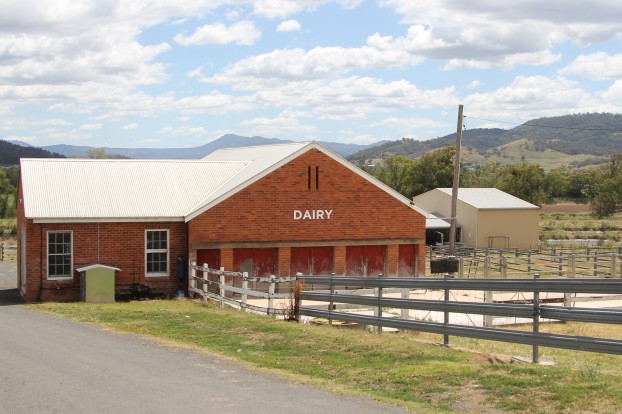 Dairy