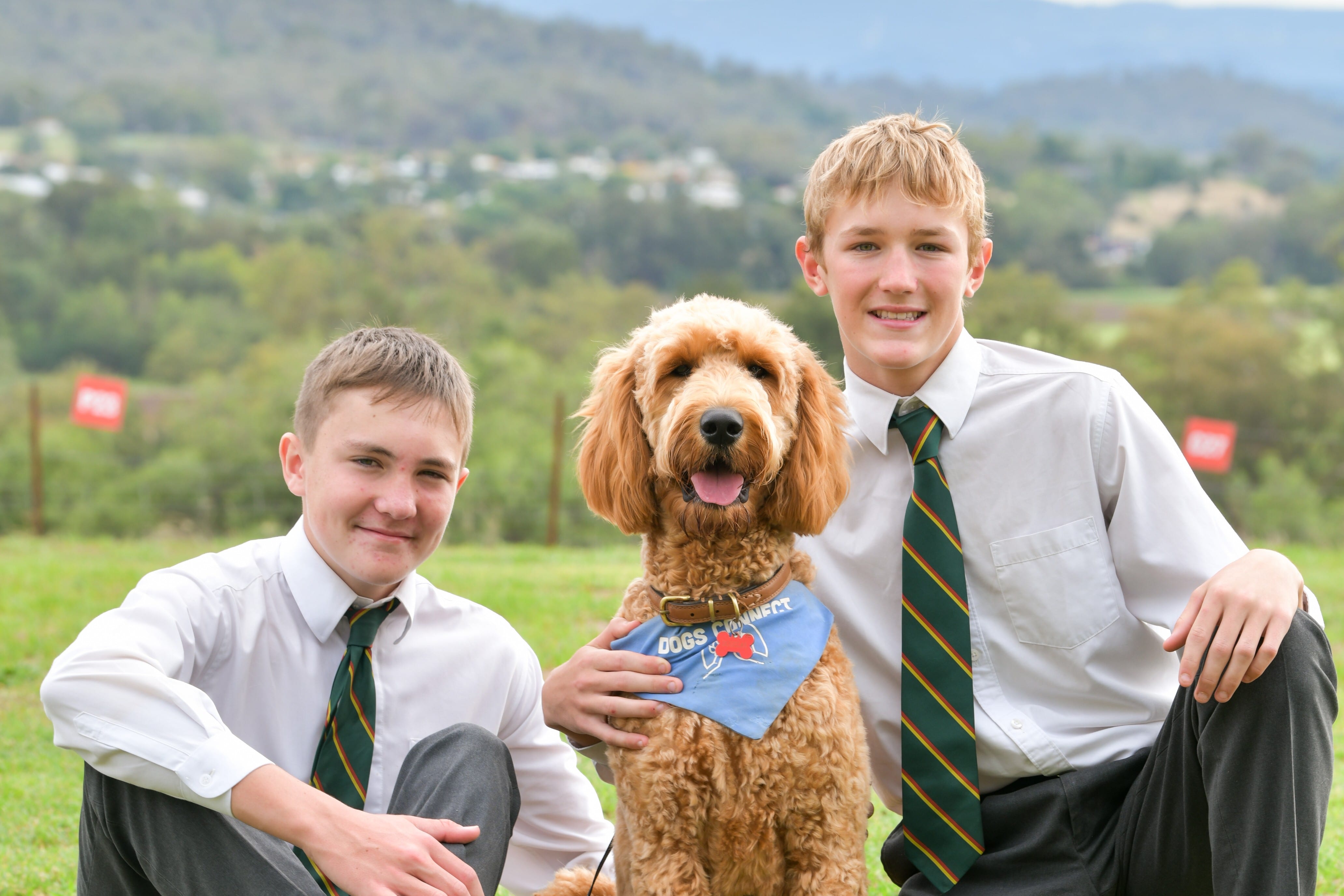 Student Wellbeing Team
