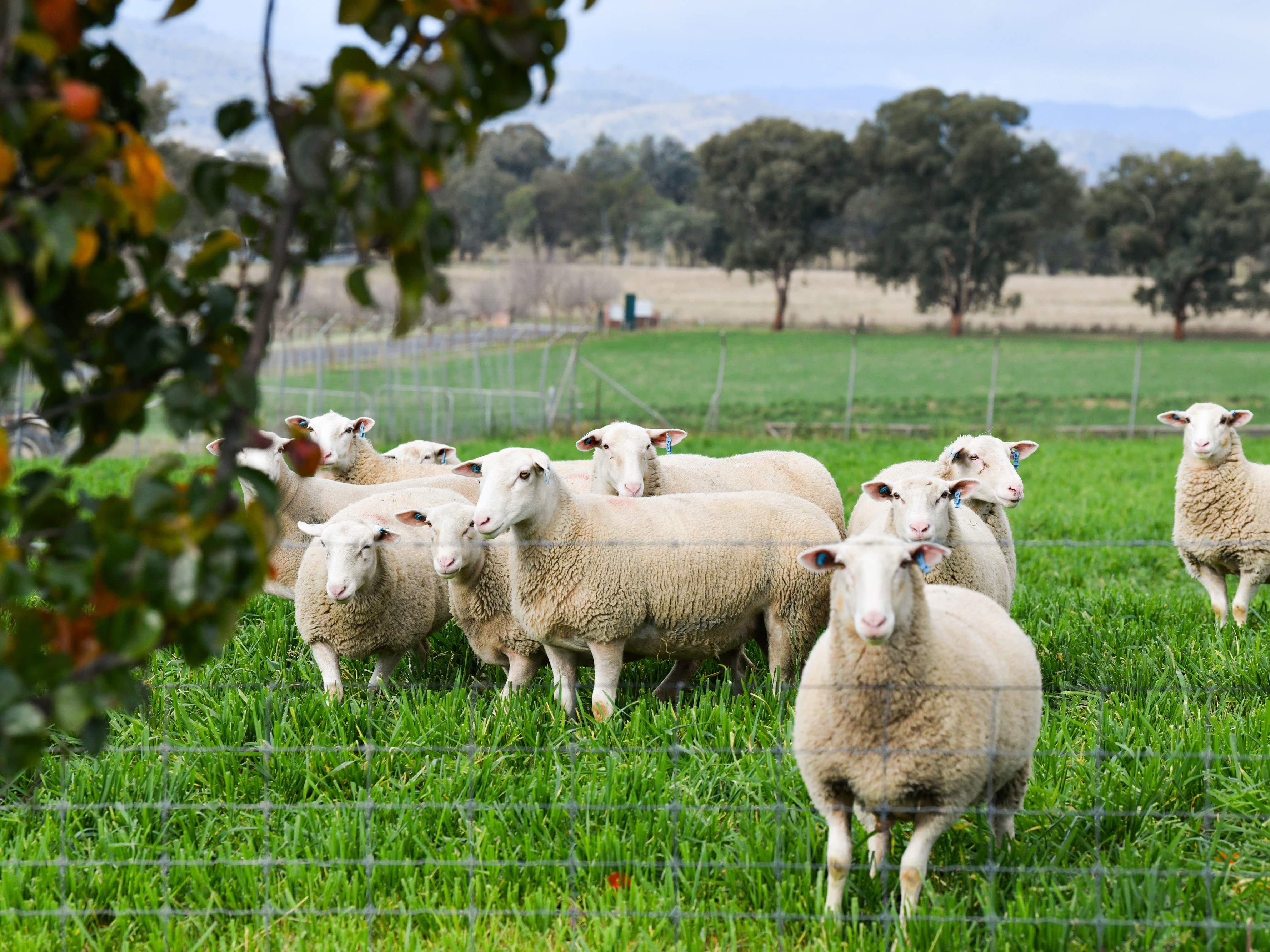 2025 Ram Sale