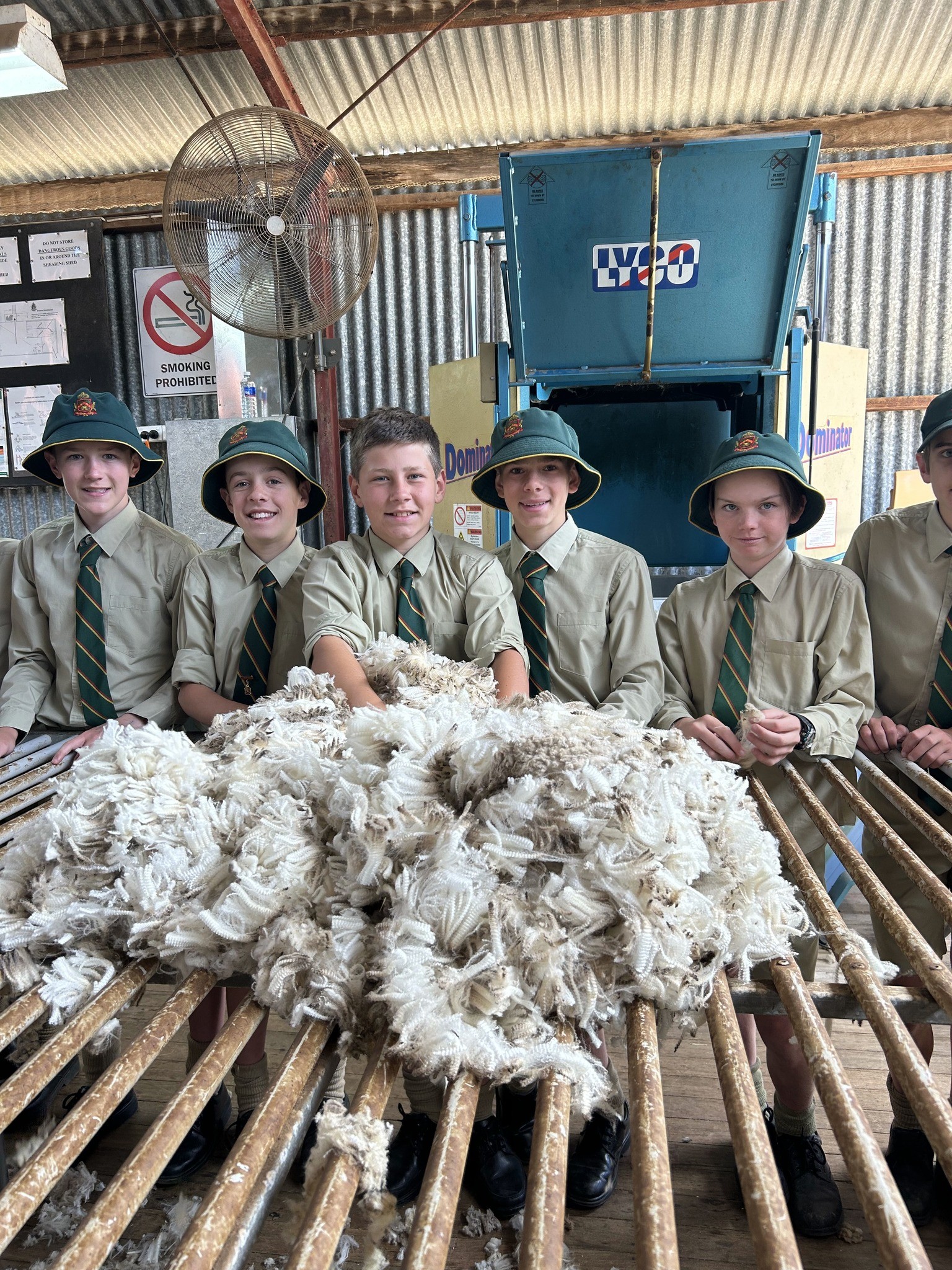 Year 9 Wool Science Sheering