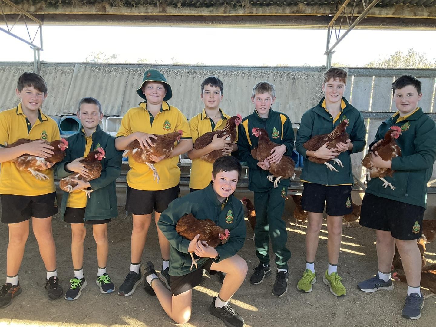 Farrer Year 7 Gold students are on Egg collection duties