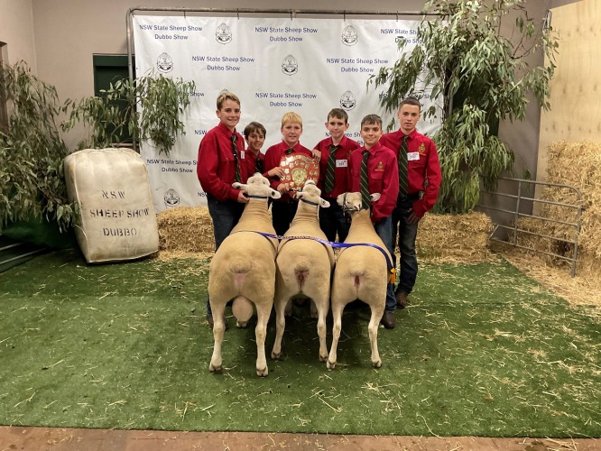152nd Dubbo Show