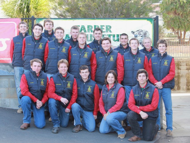 2025 Farrer Bull Sale