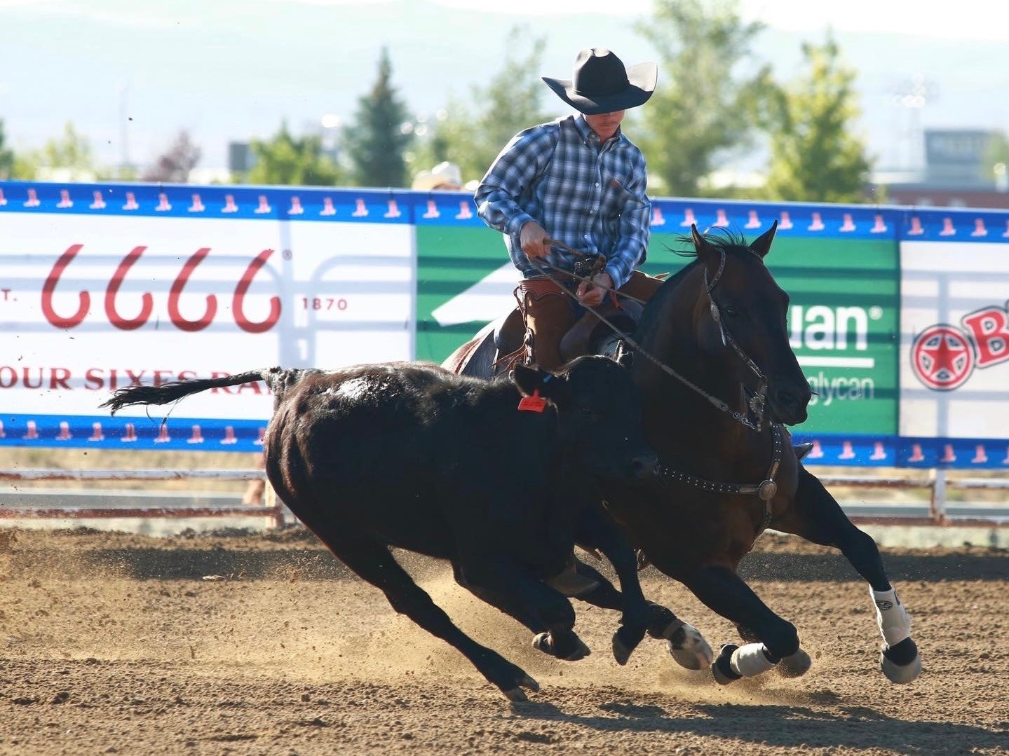 Aussie Pride on the World Rodeo Stage!