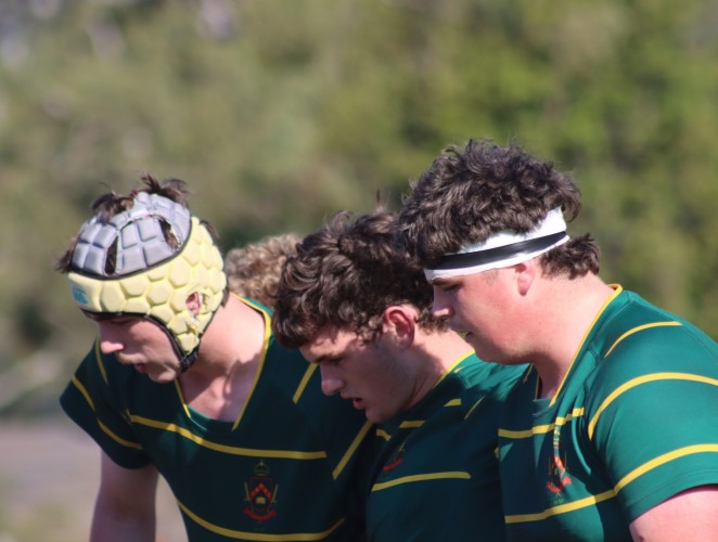 Back-to-back win on Waratah Shield