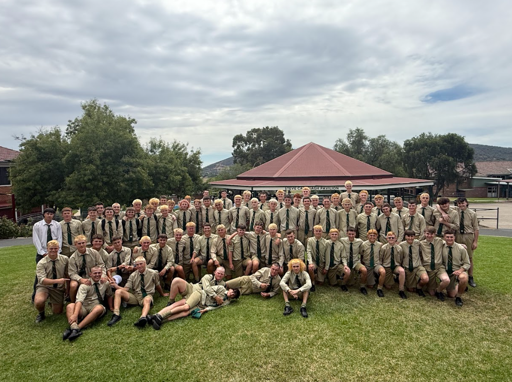 The Mullets have Landed!!