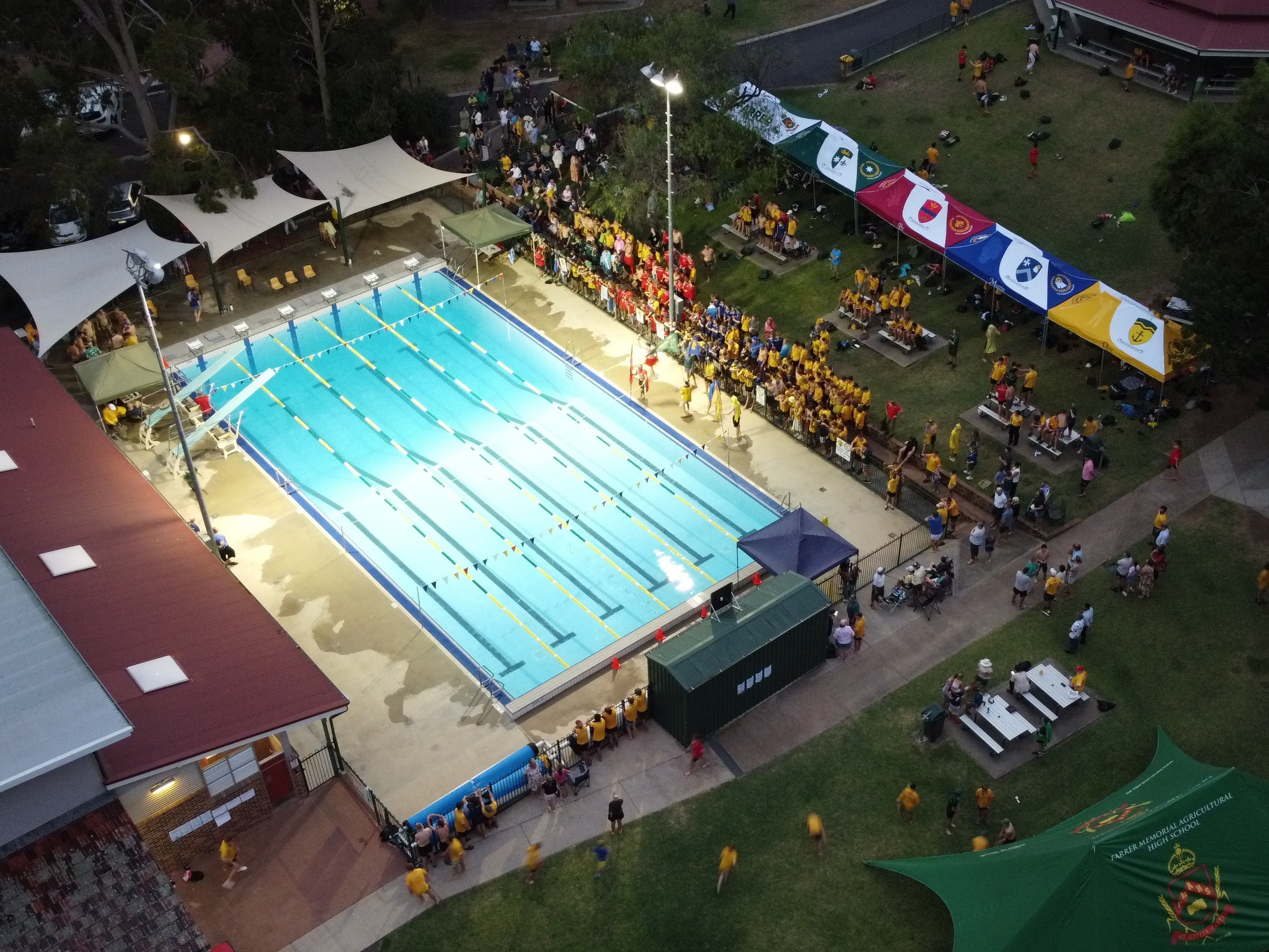 2026 Swimming Carnival Wrap Up