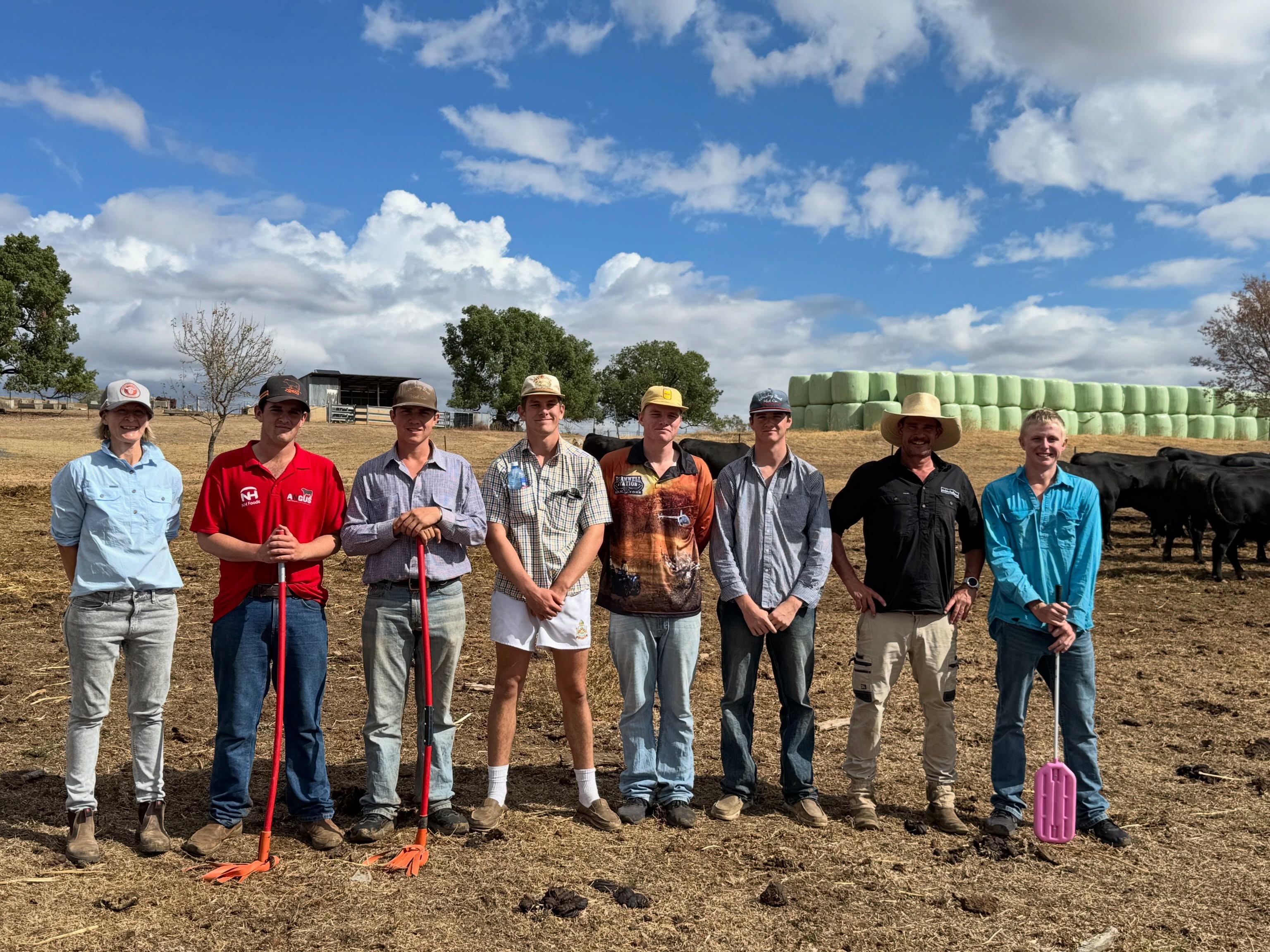 Behind the scenes for Farrer Bull Sale