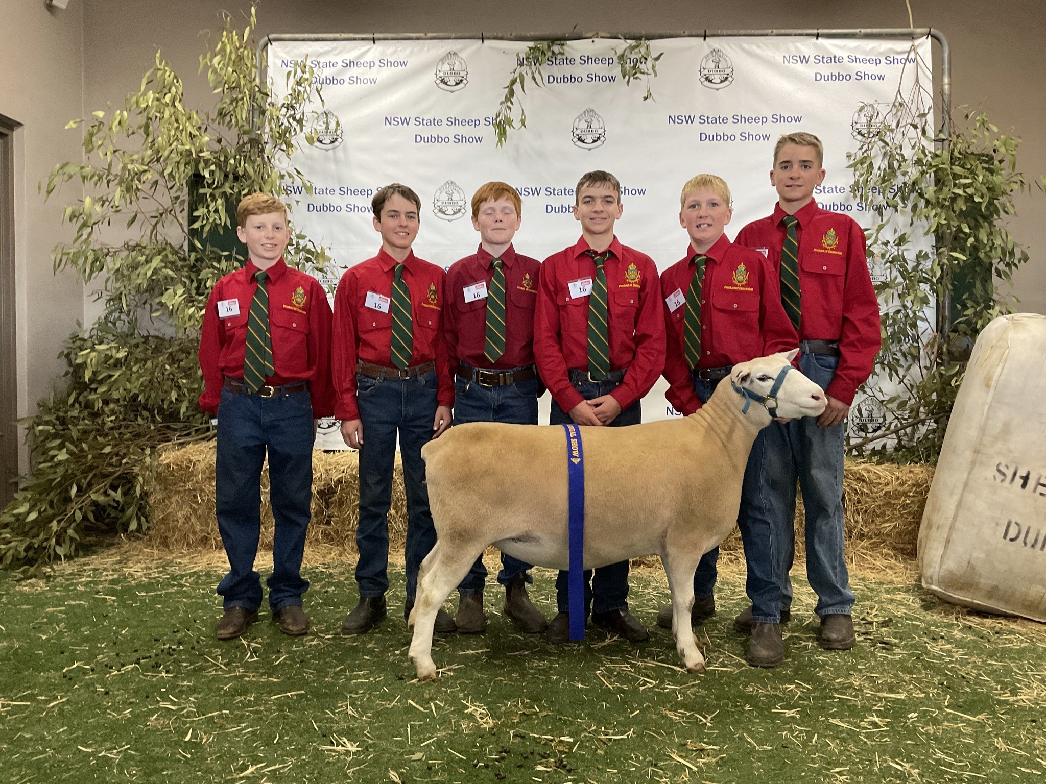 Dubbo Show 2026
